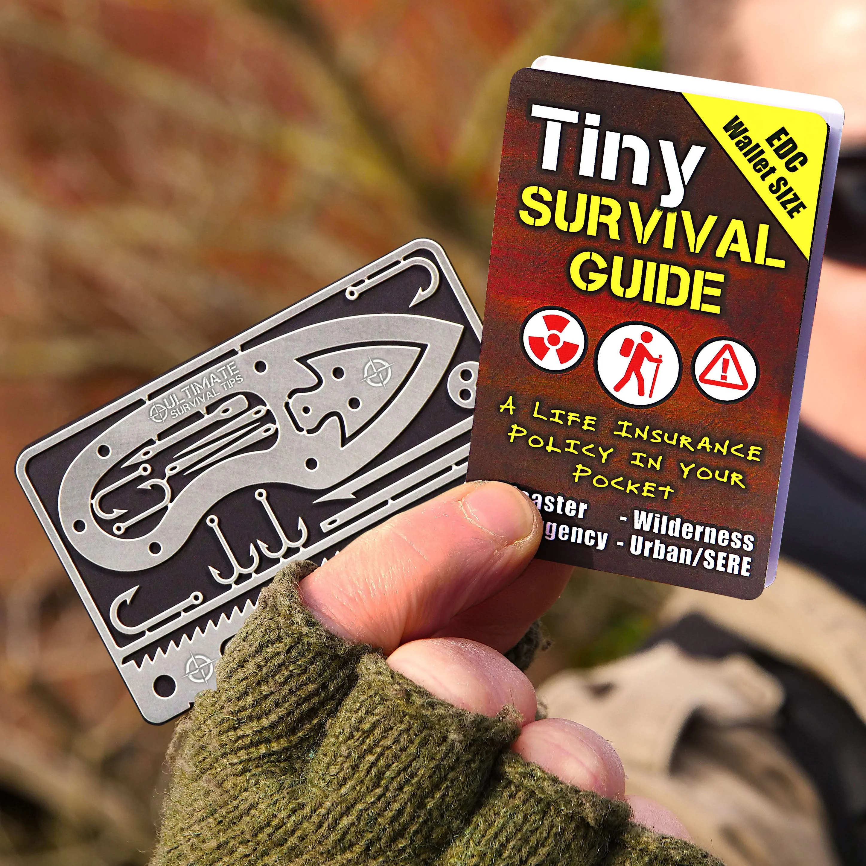 Thumbnail 11